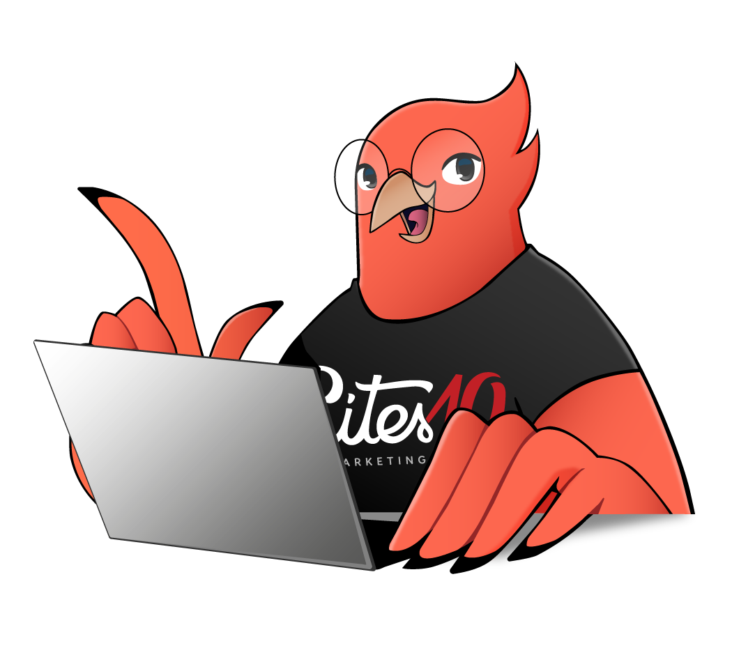Pássaro trabalhando em um laptop