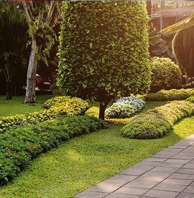 Imagem de EMPRESAS DE JARDINAGEM